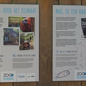 Signage about callitrichid research projects in Brazil zoo scientists participate in, 2021-06-01