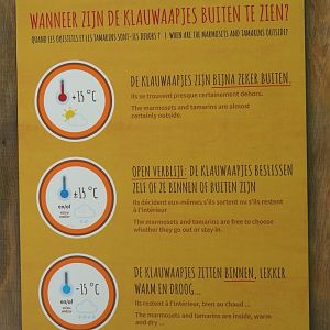 Signage When are the callitrichids outdoors? - 2021-06-01