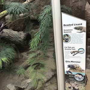North Carolina Zoo: Gila Monsters and Beaded Lizards in old Komodo Dragon Habitat