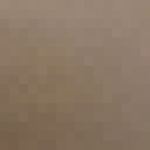 Asian small clawed otter