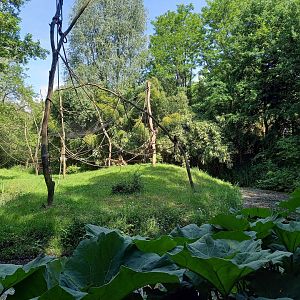 Enclosure Yellow-breasted capuchin