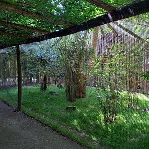 Red-legged seriema aviary