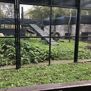 Brown bear holding area