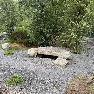 Arctic fox enclosure at Wild Ireland