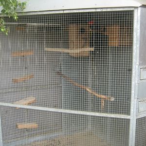 Hobro Minizoo - Lorikeet exhibit