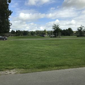 White rhino, antelope, and cattle drive thru enclosure