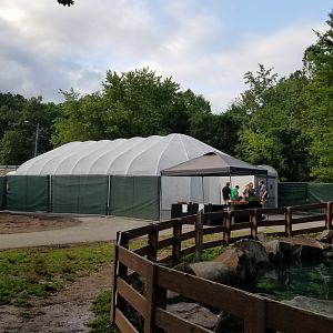 Roer's Zoofari - New Wings of Wonder butterfly house