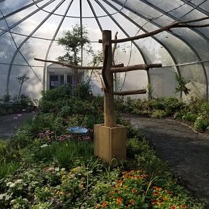 Roer's Zoofari - Wings of Wonder butterfly house