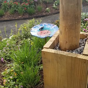 Roer's Zoofari - Wings of Wonder butterfly house