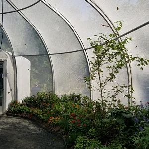 Roer's Zoofari - Wings of Wonder butterfly house