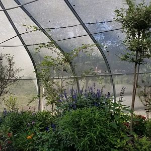 Roer's Zoofari - Wings of Wonder butterfly house