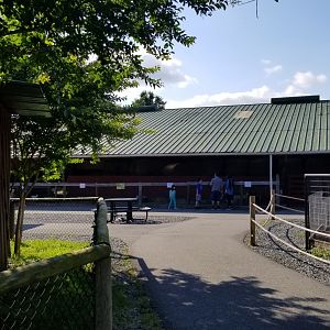 Roer's Zoofari - Baby hoofstock barn