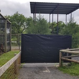 Roer's Zoofari - Path by giraffe yard/front of tayra blocked