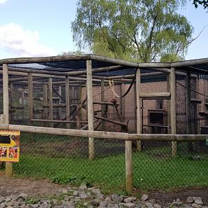 Roer's Zoofari - Primates