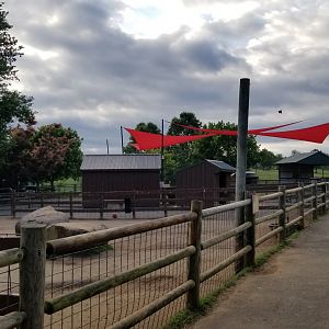 Roer's Zoofari - Farmyard