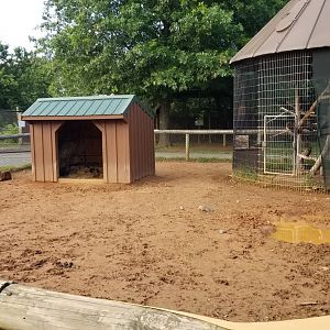 Roer's Zoofari - Kunekune, corn crib has an owl