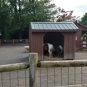 Roer's Zoofari - Ponies