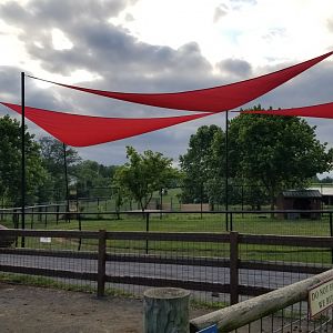 Roer's Zoofari - Camel ride area