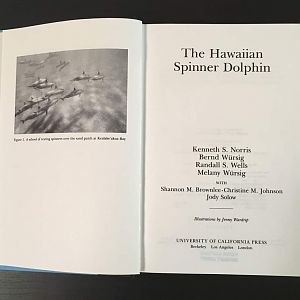 The Hawaiian Spinner Dolphin