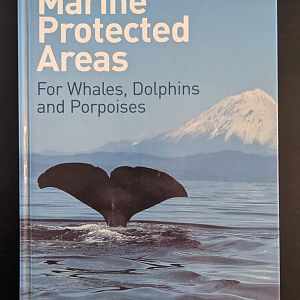 Marine Protected Areas   For Whales, Dolphins and Porpoises