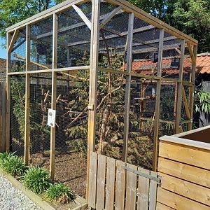 Hudson's red squirrel-enclosure