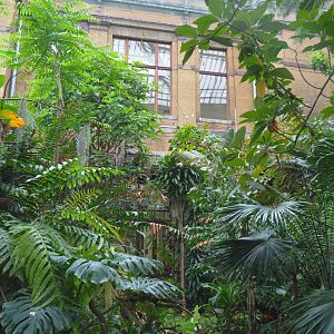 View in the Winter garden/Butterfly house, 2021-06-12