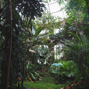 View in the Winter garden/Butterfly house, 2021-06-12