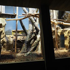 Small monkey house - First part of the Hamlyn's monkey exhibit, 2021-06-12