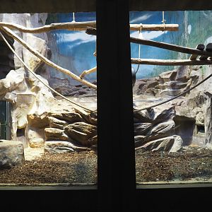 Small monkey house - Second part of the Hamlyn's monkey exhibit, 2021-06-12