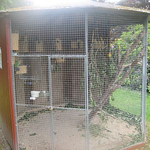 Hobro Minizoo - Lovebird aviary