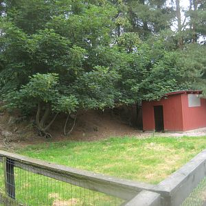 Hobro Minizoo - Emu exhibit