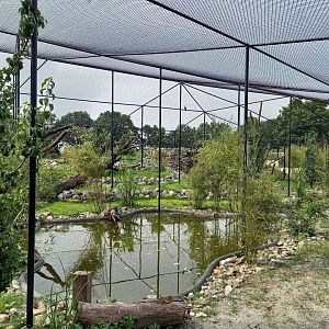New Walk-through Flamingo - Wader aviary