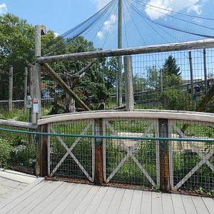 Bald Eagle Exhibit - July 2021
