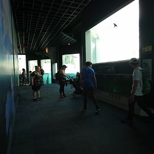 Indoor Viewing Shelter, Arctic Encounter - July 2021