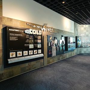 Informative Displays, Arctic Encounter - July 2021