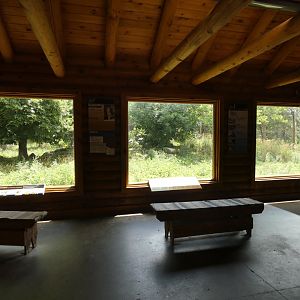 Wolf Cabin, Arctic Encounter - July 2021