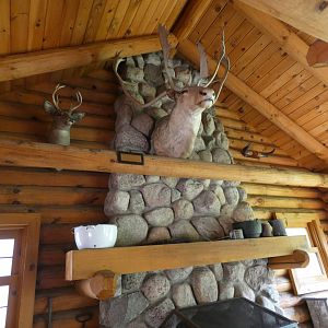 Wolf Cabin, Arctic Encounter - July 2021