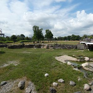 Main Exhibits, Africa - July 2021