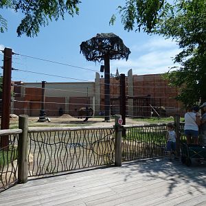 Elephant Exhibit, Tembo Trail - July 2021