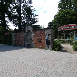 Cassowary Crossing - July 2021