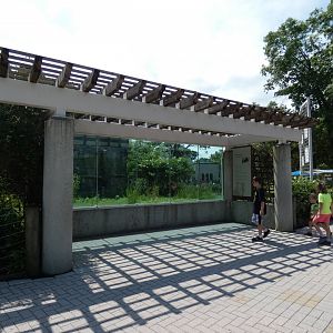 Andean Bear Exhibit, Tiger Terrance - July 2021