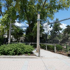 Snow Leopard Exhibits, Tiger Terrance - July 2021