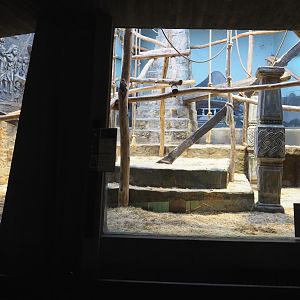 Small monkey house - Second Colombian black spider monkey indoor exhibit, 2021-06-12