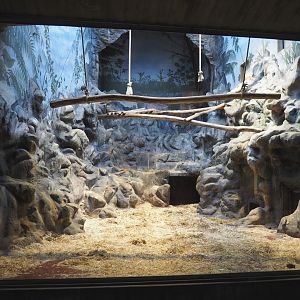 Small monkey house - Second Mandrill indoor exhibit, 2021-06-12