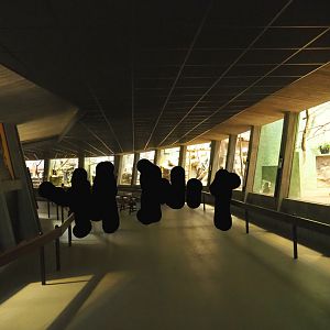 Small monkey house - View of the visitor area, 2021-06-12