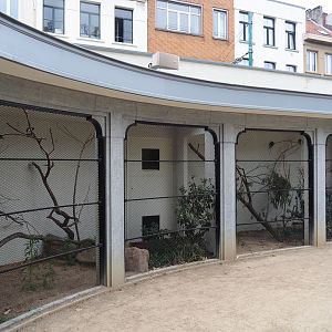 Swift parrot and Blue-faced honeyeater aviary, 2021-06-12