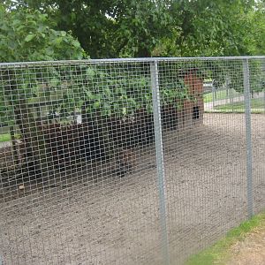 Hobro Minizoo - Wallaby exhibit