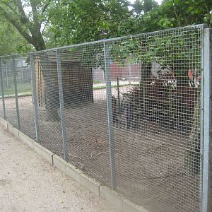 Hobro Minizoo - Wallaby exhibit