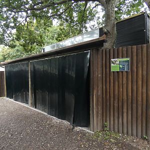 Bengal slow loris exhibit entrance