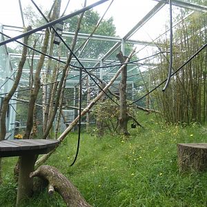 Meshed Woolly monkey enclosure